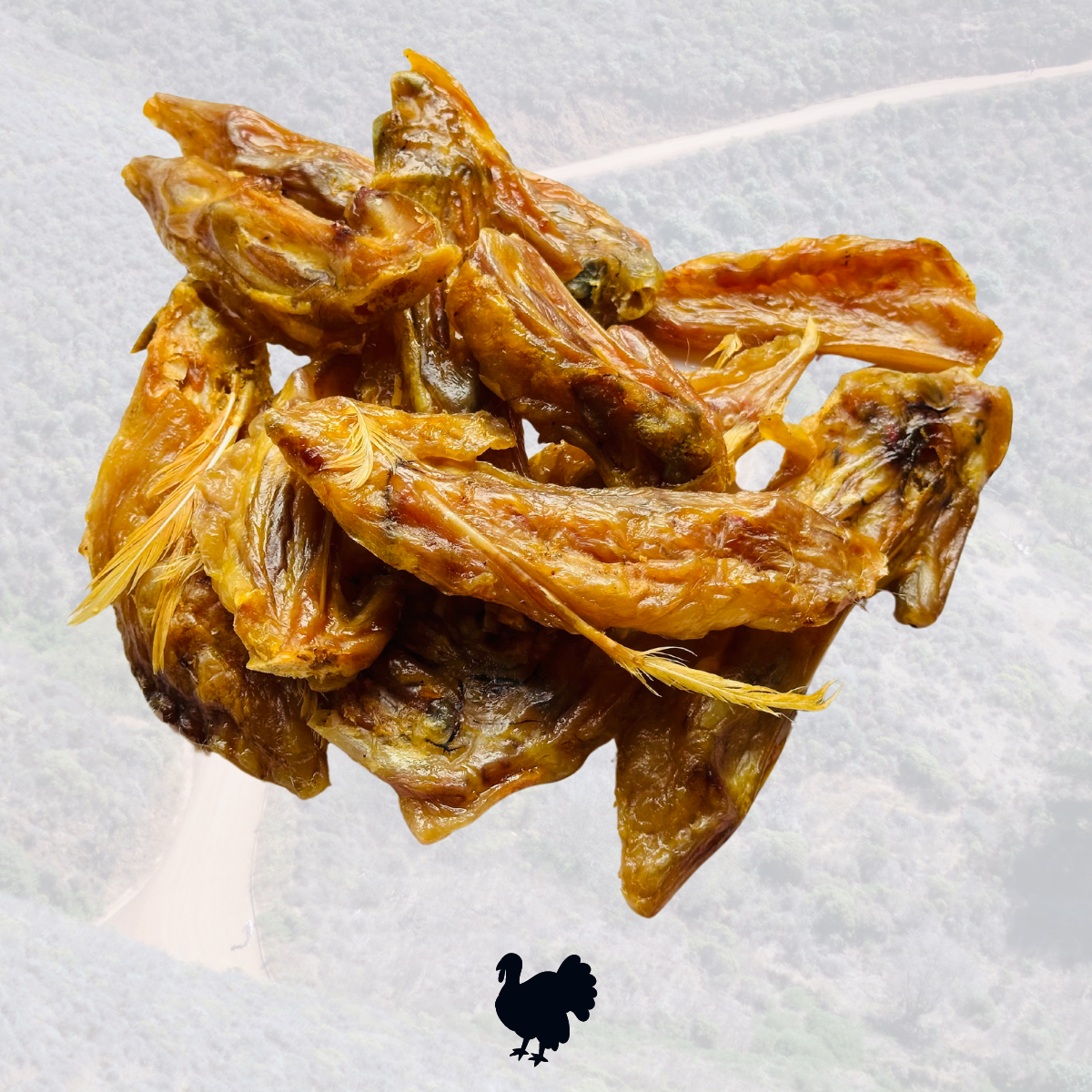 Wings